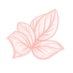Flower pink